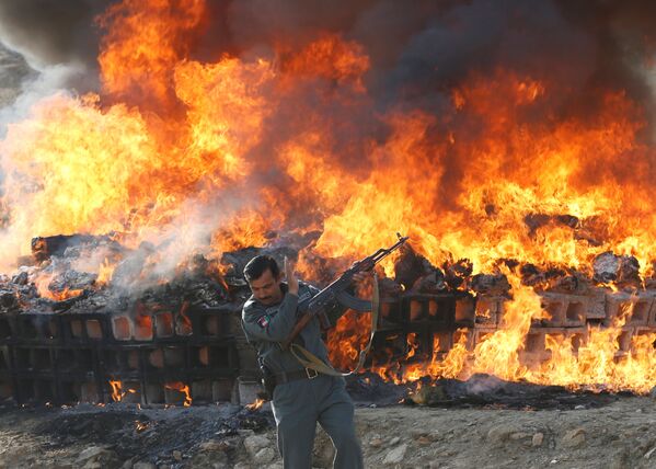 An Afghan officer reacts in front of a burning pile of seized narcotics and alcoholic drinks, in the outskirts of Kabul, Afghanistan - Sputnik International