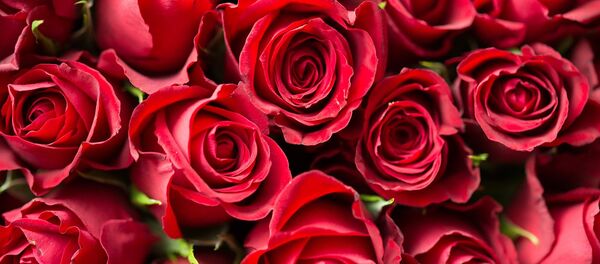 Red roses Red roses - Sputnik International