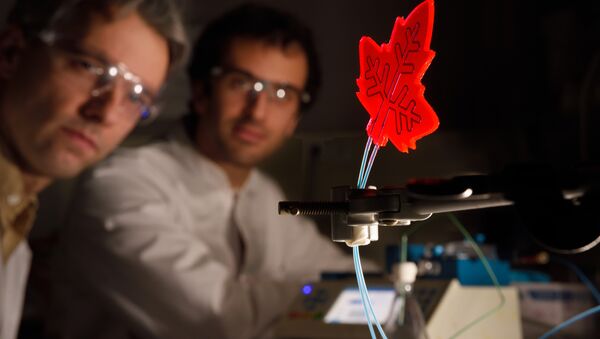 Artificial leaf developed by researchers at Eindhoven University of Technology, Netherlands - Sputnik International