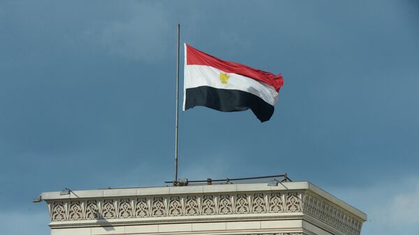 Egypti's national flag on a building in Cairo - Sputnik International