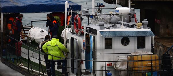 Russian Defense Ministry's TU-154 aircraft crash site in Sochi - Sputnik International