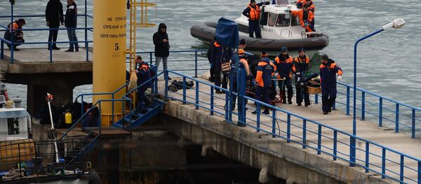 Russian Defense Ministry's TU-154 aircraft crash site in Sochi - Sputnik International