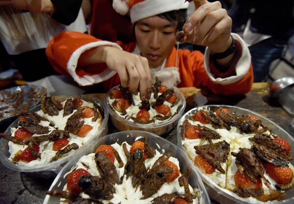 Christmas Celerations Around the World - Sputnik International