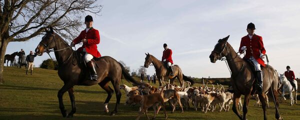 Members of the New Forest Hunt arrive at Boltons Bench for the annual Boxing Day hunt in Lyndhurst, southern England December 26, 2016 - Sputnik International
