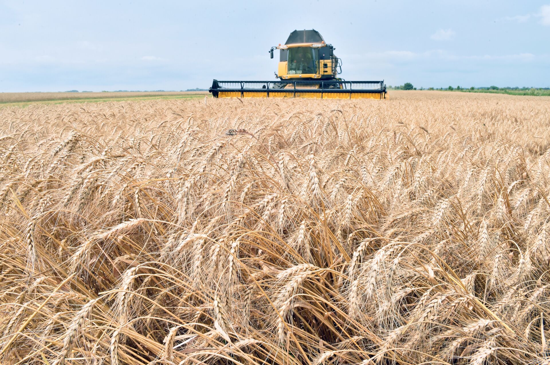 A combine harvester gathers grain from a field in Ukraine (file). - Sputnik International, 1920, 30.06.2022