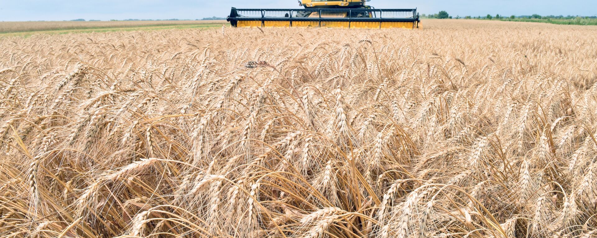 A combine harvester gathers grain from a field in Ukraine (file). - Sputnik International, 1920, 13.09.2023