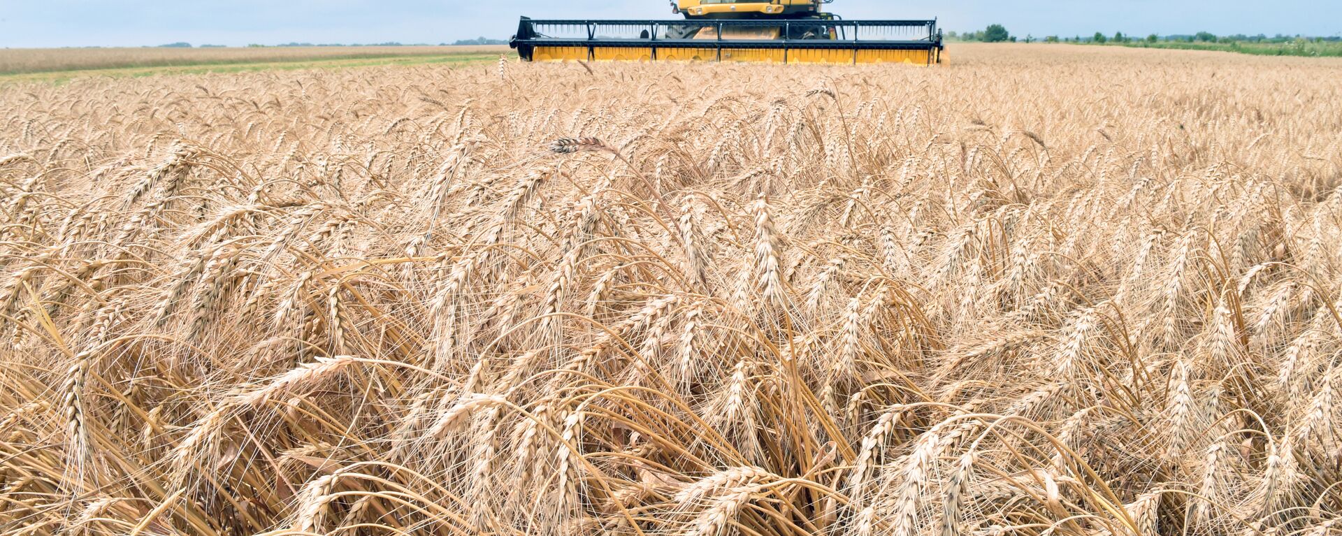 A combine harvester gathers grain from a field in Ukraine (file). - Sputnik International, 1920, 15.04.2023