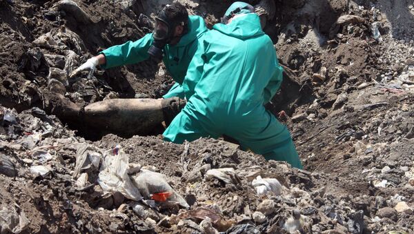Mass grave. Syria (File) - Sputnik International
