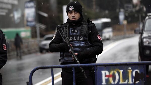 Turkish police officer. (File) - Sputnik International