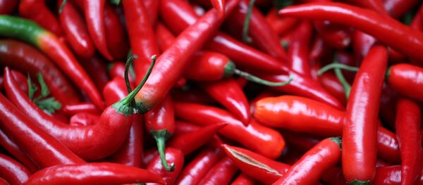 Chili - Sputnik International