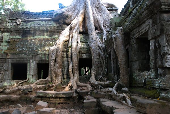 The Jewel of Cambodia: Wonders and Mysteries of Angkor - Sputnik International