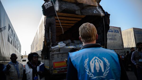 A UNHCR worker stands as workers carry humanitarian aid to a Syrian-bound truck at a UN transhipment hub at Cilvegozu in Reyhanli near the Turkish-Syrian border in Hatay on November 28, 2016 - Sputnik International