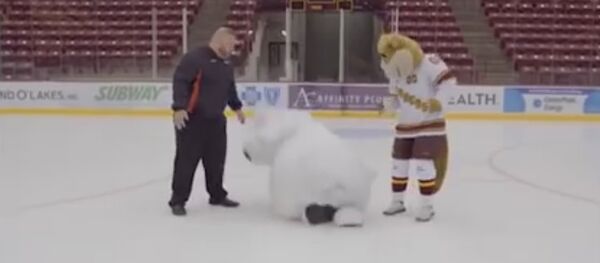 White Bear Mitsubishi - Gopher Hockey Outtakes - White Bear On Ice White Bear Mitsubishi - Gopher Hockey Outtakes - White Bear On Ice - Sputnik International