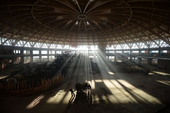 The World Bathed in Backlight - Sputnik International