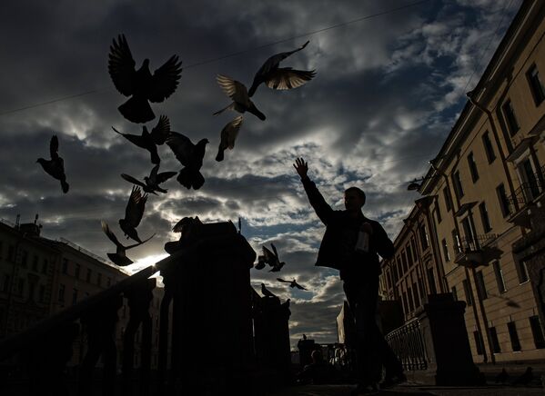 The World Bathed in Backlight - Sputnik International