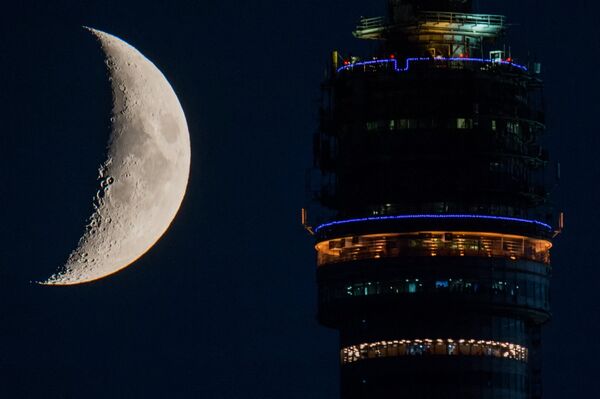 The World Bathed in Backlight - Sputnik International