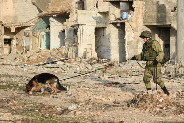 Military engineers of the Russian Army's international counter-mine center continue the demining operation in eastern Aleppo, Syria - Sputnik International