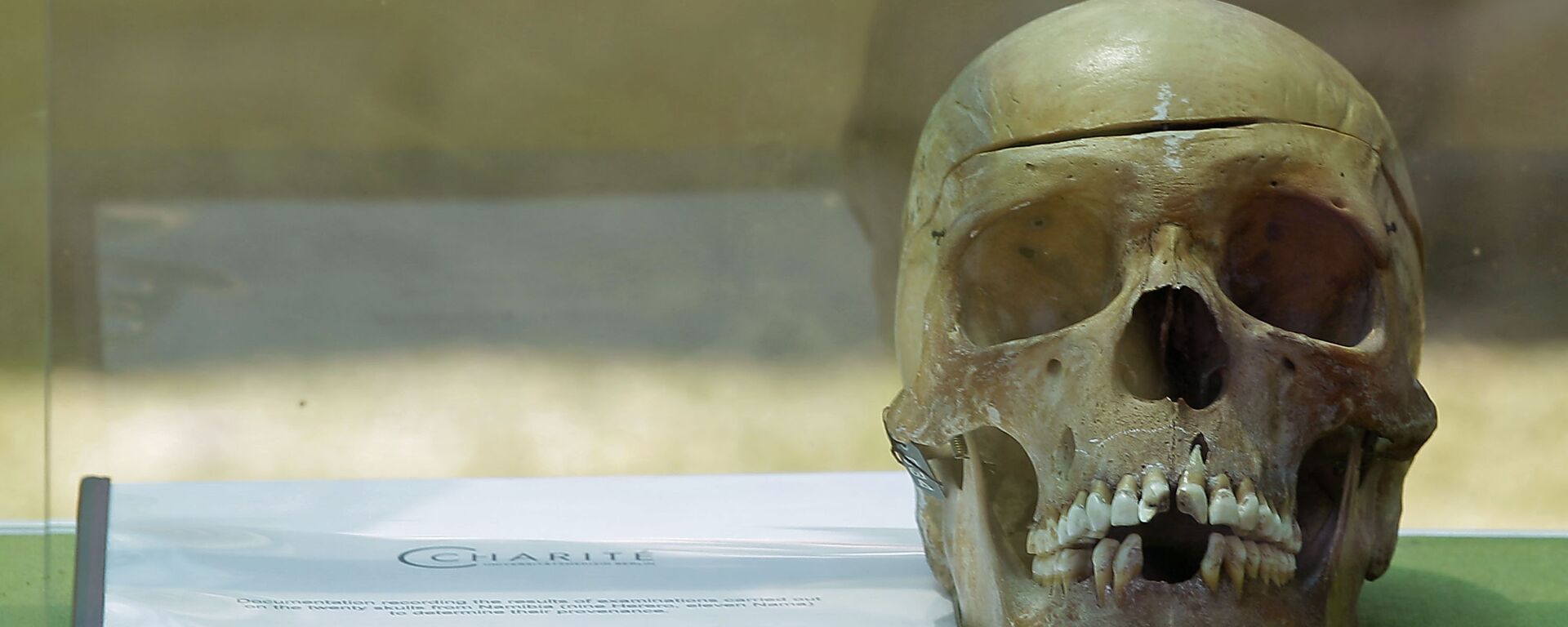 A skull from Germany on display in the city of Windhoek, Namibia, Tuesday, Oct 4, 2011. Hundreds of Namibians welcomed home the skulls of ancestors taken to Germany for racist experiments more than a century ago. The skulls are testimony to the horrors of colonialism and German cruelty against our people, Prime Minister Nahas Angula said at an airport ceremony, The Namibian nation accepts these mortal remains as a symbolic closure of a tragic chapter. - Sputnik International, 1920, 28.05.2021