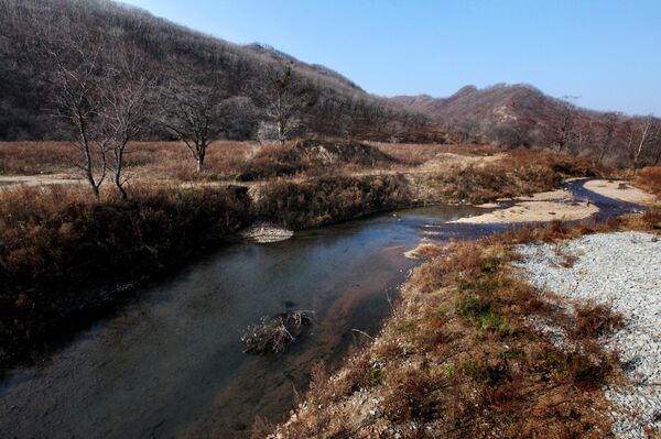 Barabash village in the Land of the Leopard National Park in the Khasan district of Primorye - Sputnik International