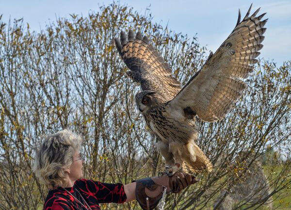 Raptor nursery in Galichya Gora nature reserve - Sputnik International