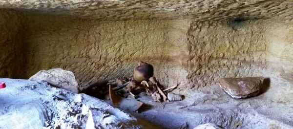 Skeletal and animal remains are seen at one of12 newly discovered ancient Egyptian cemeteries dating back to the New Kingdom era, specifically the reigns of phaoroes Thutmose III and Amenhotep II, at Gabal al-Silsila or Chain of Mountains area in Upper Egypt, north of Aswan, January 11, 2017 Skeletal and animal remains are seen at one of12 newly discovered ancient Egyptian cemeteries dating back to the New Kingdom era, specifically the reigns of phaoroes Thutmose III and Amenhotep II, at Gabal al-Silsila or Chain of Mountains area in Upper Egypt, north of Aswan, January 11, 2017 - Sputnik International