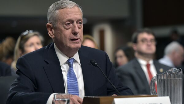 Retired Marine Corps general James Mattis testifies before the Senate Armed Services Committee on his nomination to be the next secretary of defense in the Dirksen Senate Office Building on Capitol Hill in Washington, DC on January 12, 2017 - Sputnik International