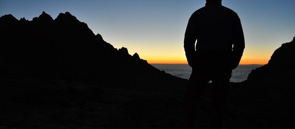 Silhouette of a man - Sputnik International