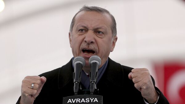 President Recep Tayyip Erdogan (File) - Sputnik International