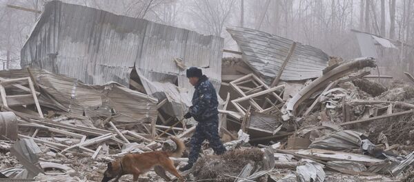 Turkish cargo plane on a flight from Hong-Kong has crashed near Bishkek, Kyrgyzstan Turkish cargo plane on a flight from Hong-Kong has crashed near Bishkek, Kyrgyzstan - Sputnik International