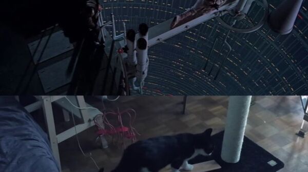 The Empire Scratches Back The Empire Scratches Back - Sputnik International