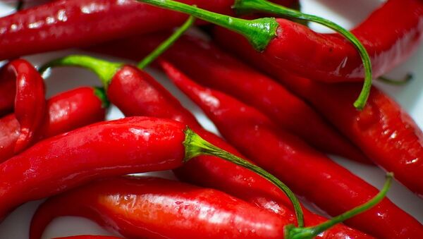 Red chili peppers - Sputnik International