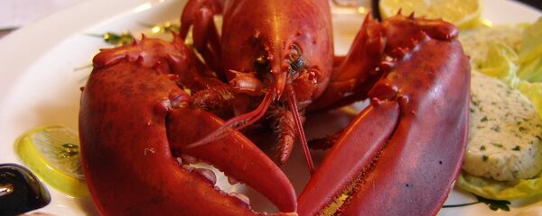 Lobster Lobster - Sputnik International