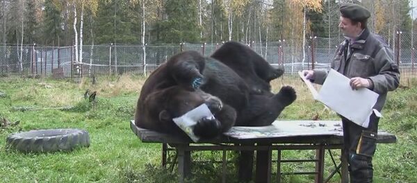 Best ART video by Juuso Best ART video by Juuso - Sputnik International