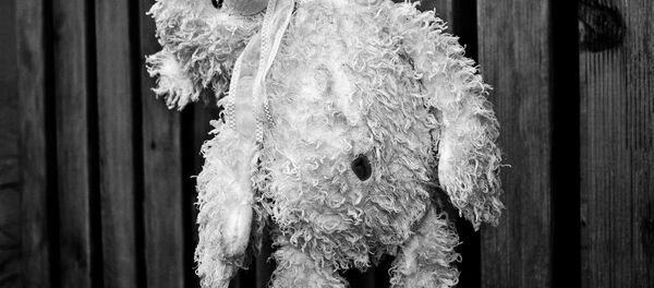 A children's toy A children's toy - Sputnik International