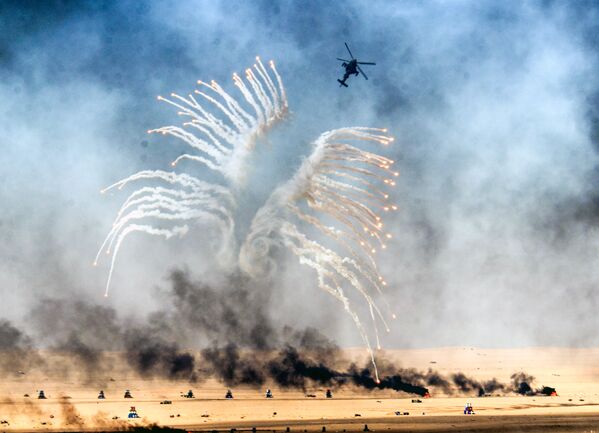 This Week in Pictures - Sputnik International