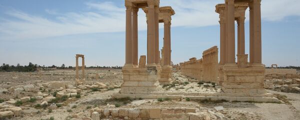 The colonnade avenue and Tetrapylon in the historical part of Palmyra (the view from the Valley of Tombs) - Sputnik International