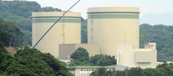 Kansai Electric's No. 1 and No. 2 reactors at the Takahama nuclear plant are seen in this picture at the town of Takahama in Fukui prefecture, some 350 kilometres (215 miles) west of Tokyo on June 20, 2016 - Sputnik International