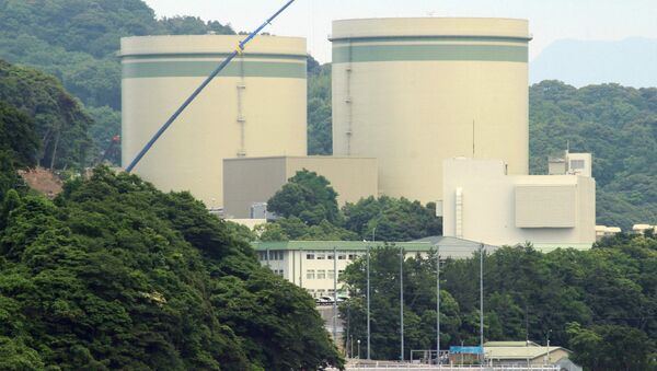 Kansai Electric's No. 1 and No. 2 reactors at the Takahama nuclear plant are seen in this picture at the town of Takahama in Fukui prefecture, some 350 kilometres (215 miles) west of Tokyo on June 20, 2016 - Sputnik International