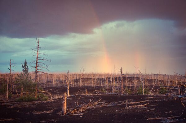Stunning Kamchatka Seen Through Eyes of Wildlife Photographer of the Year Winner - Sputnik International