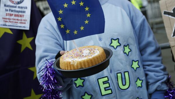 A pro-Europe supporter holds a cake with a EU flag in it, following the decision of the Supreme Court that Theresa May's government requires parliamentary approval to start the process of leaving the European Union, in Parliament Square, central London, Britain, January 24, 2017. - Sputnik International