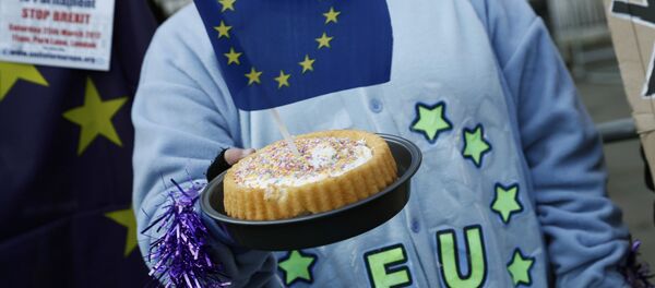 A pro-Europe supporter holds a cake with a EU flag in it, following the decision of the Supreme Court that Theresa May's government requires parliamentary approval to start the process of leaving the European Union, in Parliament Square, central London, Britain, January 24, 2017. A pro-Europe supporter holds a cake with a EU flag in it, following the decision of the Supreme Court that Theresa May's government requires parliamentary approval to start the process of leaving the European Union, in Parliament Square, central London, Britain, January 24, 2017. - Sputnik International