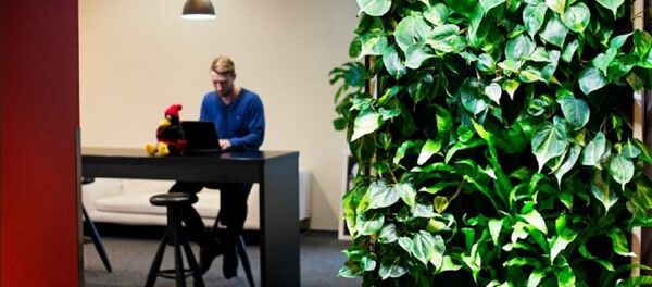 Green Wall Green Wall - Sputnik International