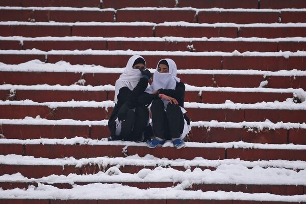 This Week in Pictures - Sputnik International