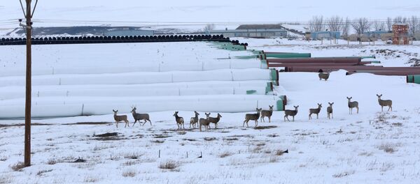 A depot used to store pipes for Transcanada Corp's planned Keystone XL oil pipeline is seen in Gascoyne, North Dakota, January 25, 2017 A depot used to store pipes for Transcanada Corp's planned Keystone XL oil pipeline is seen in Gascoyne, North Dakota, January 25, 2017 - Sputnik International