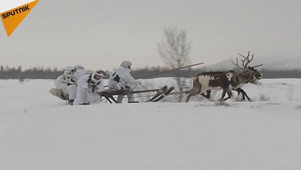 Russian Northern Fleet Marines Learn To Fight In The Tundra - Sputnik International