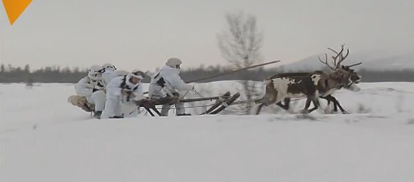 Russian Northern Fleet Marines Learn To Fight In The Tundra - Sputnik International