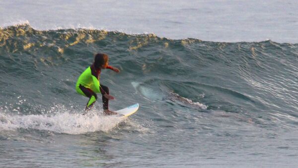 10-year-old Eden Hasson surfs near what is believed to be a great white shark at Samurai Beach, Port Stephens, Australia. - Sputnik International