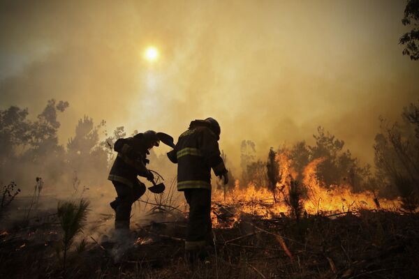 Firefighters dig trenches in a effort to stop the advancement of a forest fire in Hualañe, a community in Concepcion, Chile. - Sputnik International