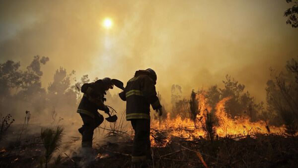 Firefighters dig trenches in a effort to stop the advancement of a forest fire in Hualañe, a community in Concepcion, Chile. - Sputnik International
