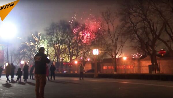 China Celebrates New Year - Sputnik International